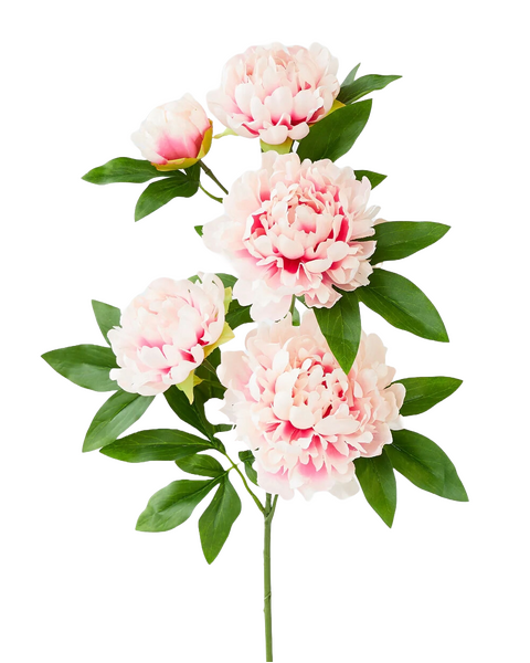 Pink Peony Branch 90cm
