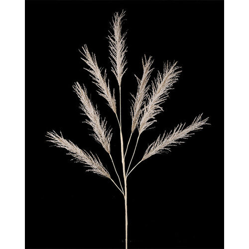 Champange Pampas Pick 113cm